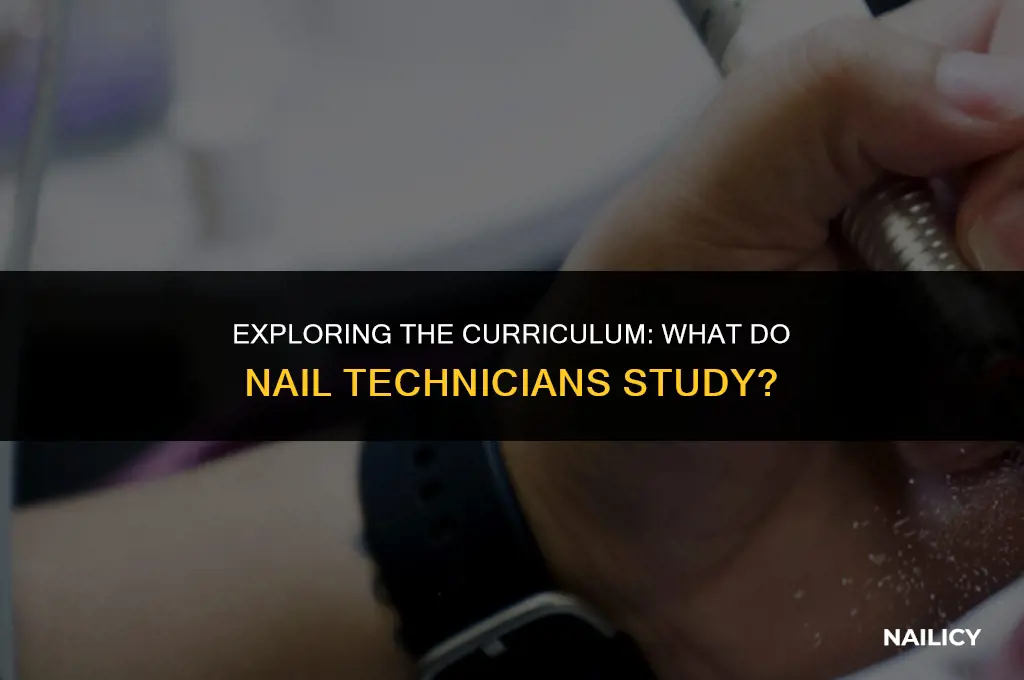 what do nail technicians study