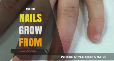 How Nails Grow: Understanding the Nail Matrix