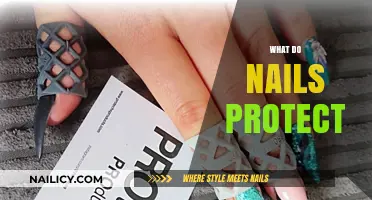 Shielding Your Digits: The Protective Power of Nails Unveiled