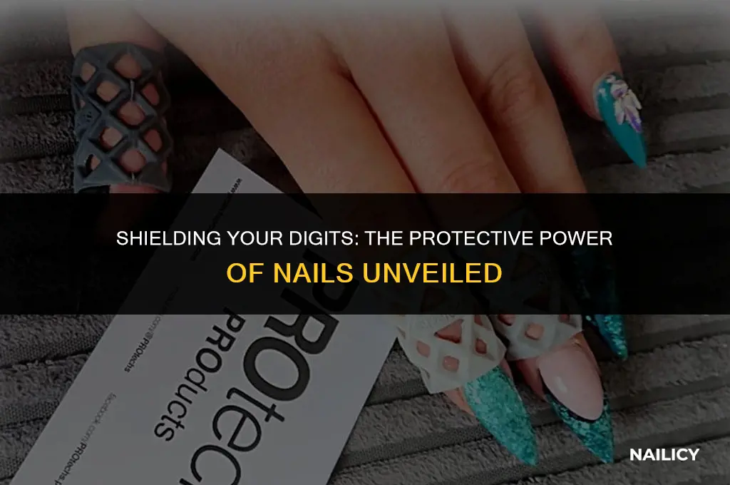 what do nails protect