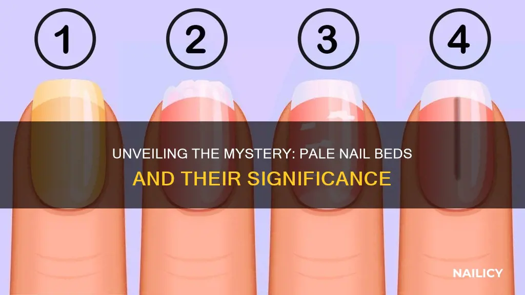 what do pale nail beds mean