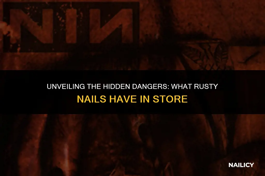 what do rusty nailes have