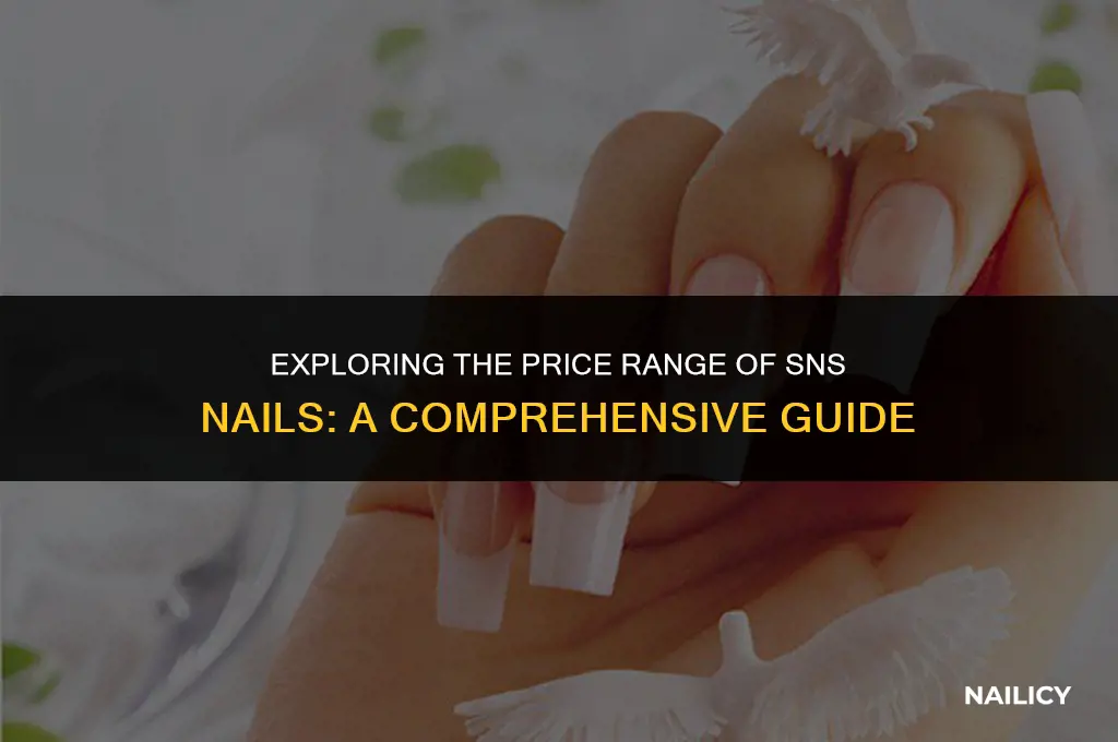 what do sns nails cost
