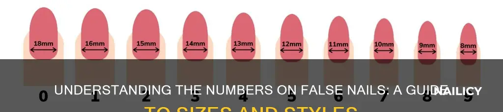 what do the numbers mean on false nails