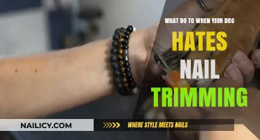 Calm Nail Trimming: Strategies for Your Dog's Hate