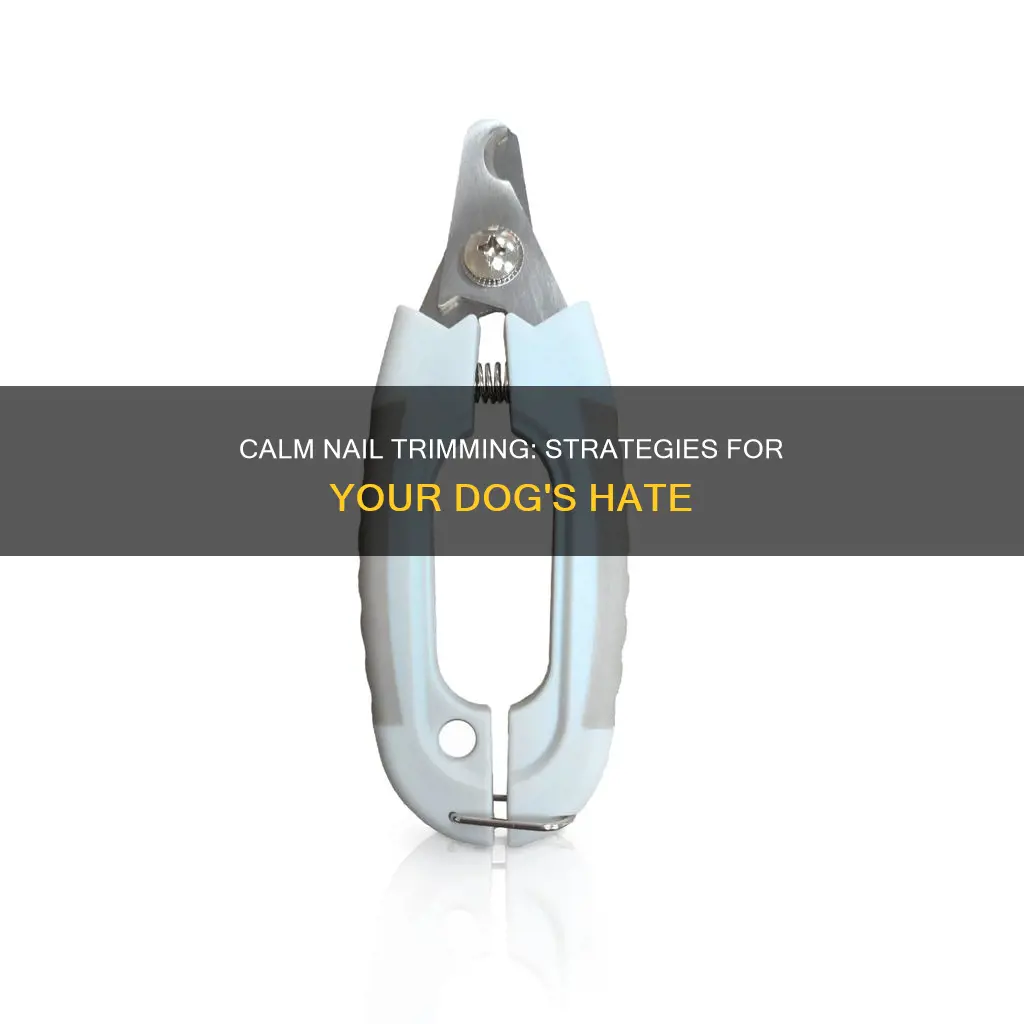 what do to when yiur dog hates nail trimming