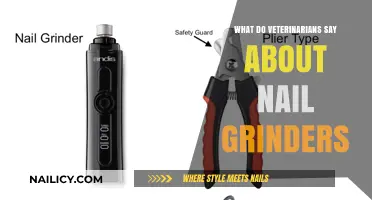 Veterinarians' Insights on Nail Grinders: Safety, Benefits, and Best Practices