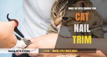 Cat Nail Trims: Vets' Service Charges