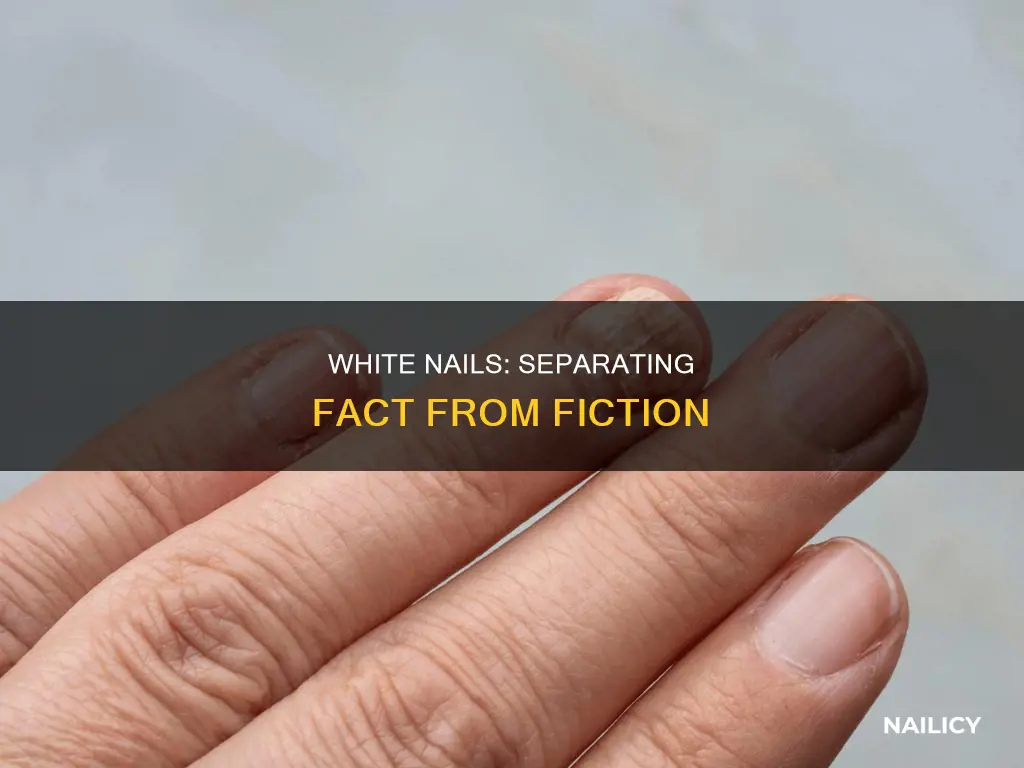 what do white stuff on nails mean myth