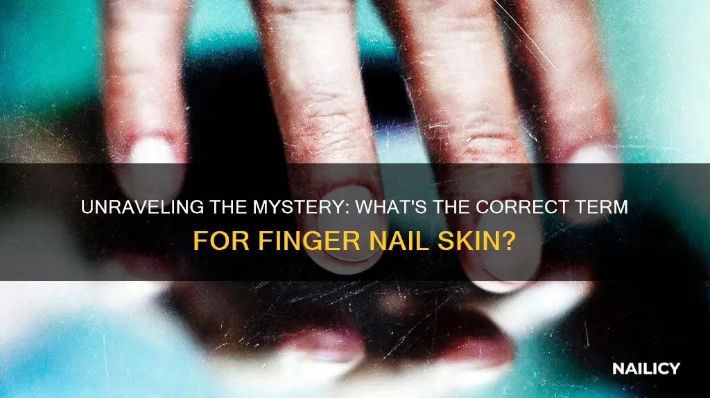 what do you call a finger nail skin