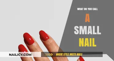 Tiny Fasteners: What’s the Correct Term for a Small Nail?