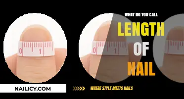 Understanding Nail Length: Terminology and Measurement Basics Explained