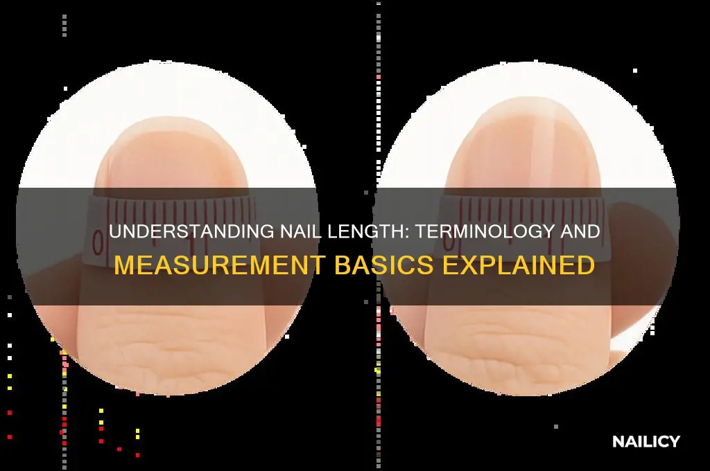 what do you call length of nail