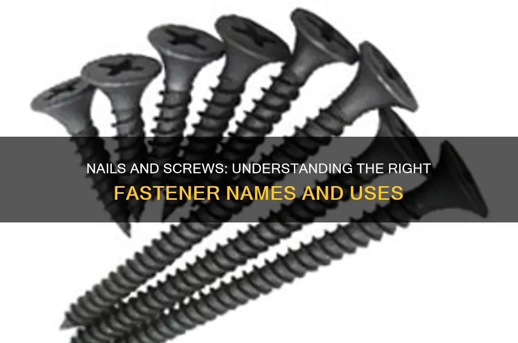 what do you call nails and screws
