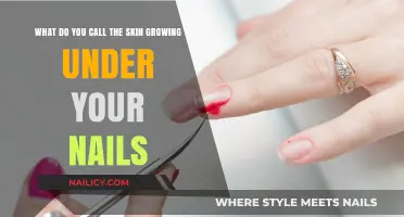 The Mystery of Nail Bed Skin Growth
