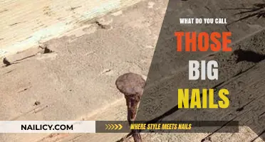 What Are Those Big Nails Called? A Guide to Spike Fasteners