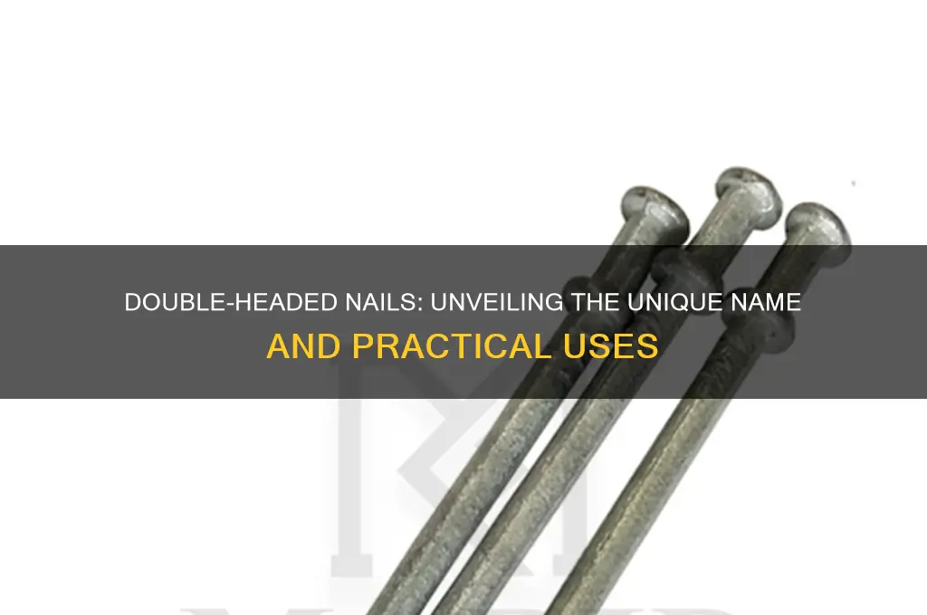 what do you called a double headed nail