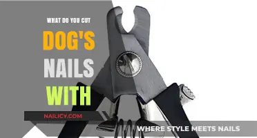 Trimming Dog Nails: The Right Tools for the Job