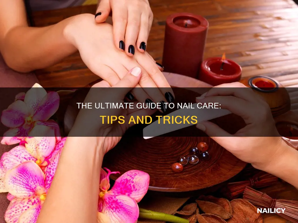 what do you mean by nail care