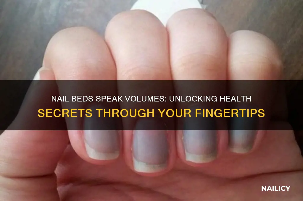 what do your nail beds say about you