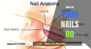 Unveiling the Surprising Functions of Your Fingernails