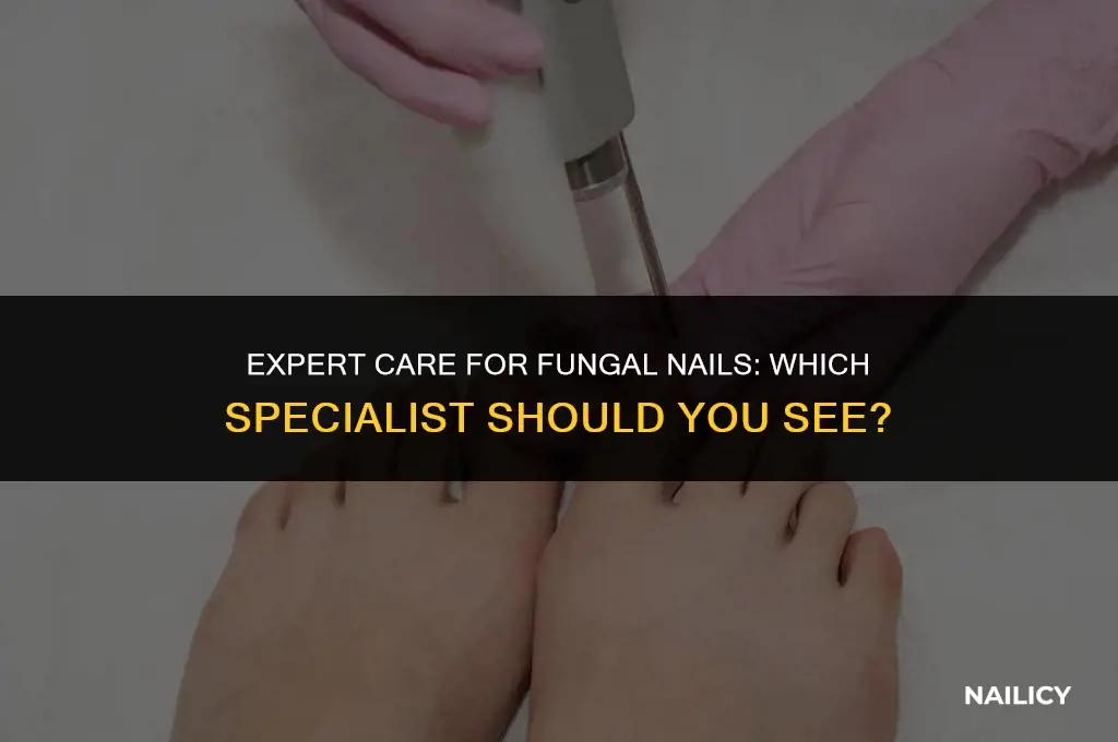 what doctor treats fungal nails
