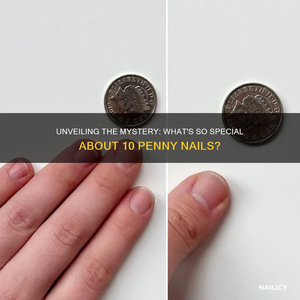 what does 10 penny nail mean