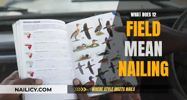 Understanding the 12-Field Nail: A Comprehensive Guide