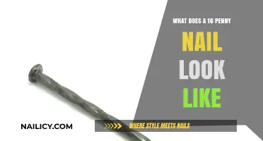 Understanding the Size and Appearance of a 16 Penny Nail