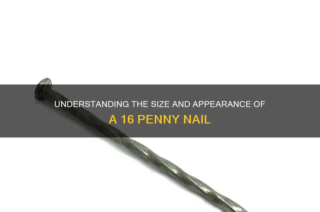 16 Penny Nail Cabinetnull