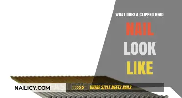 Clipped Head Nail Appearance: A Visual Guide to Identifying Them