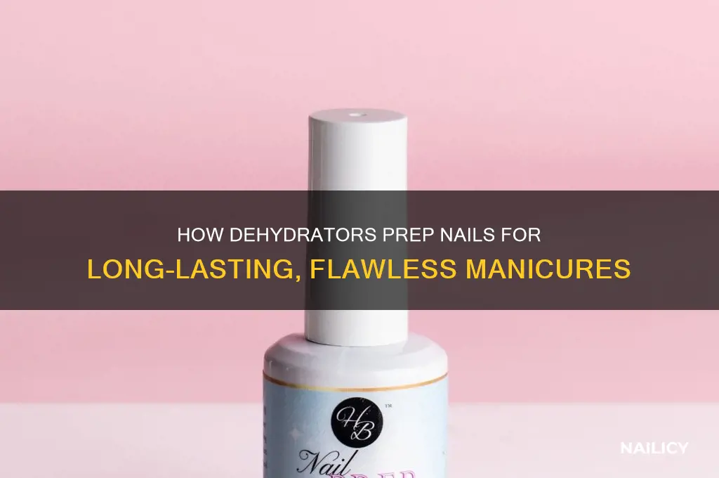 what does a dehydrator do for nails
