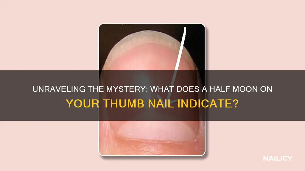 what does a half moon on your thumb nail mean