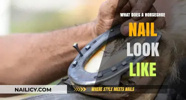 Exploring the Unique Shape and Design of a Horseshoe Nail