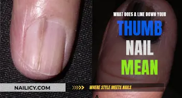 Unraveling the Mystery: What Your Thumbnail Line Reveals