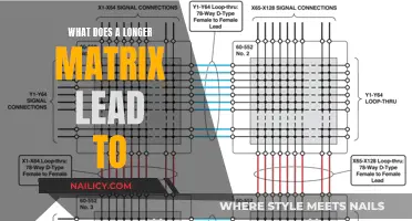 Longer Matrix: A Complex Web of Data and Insights