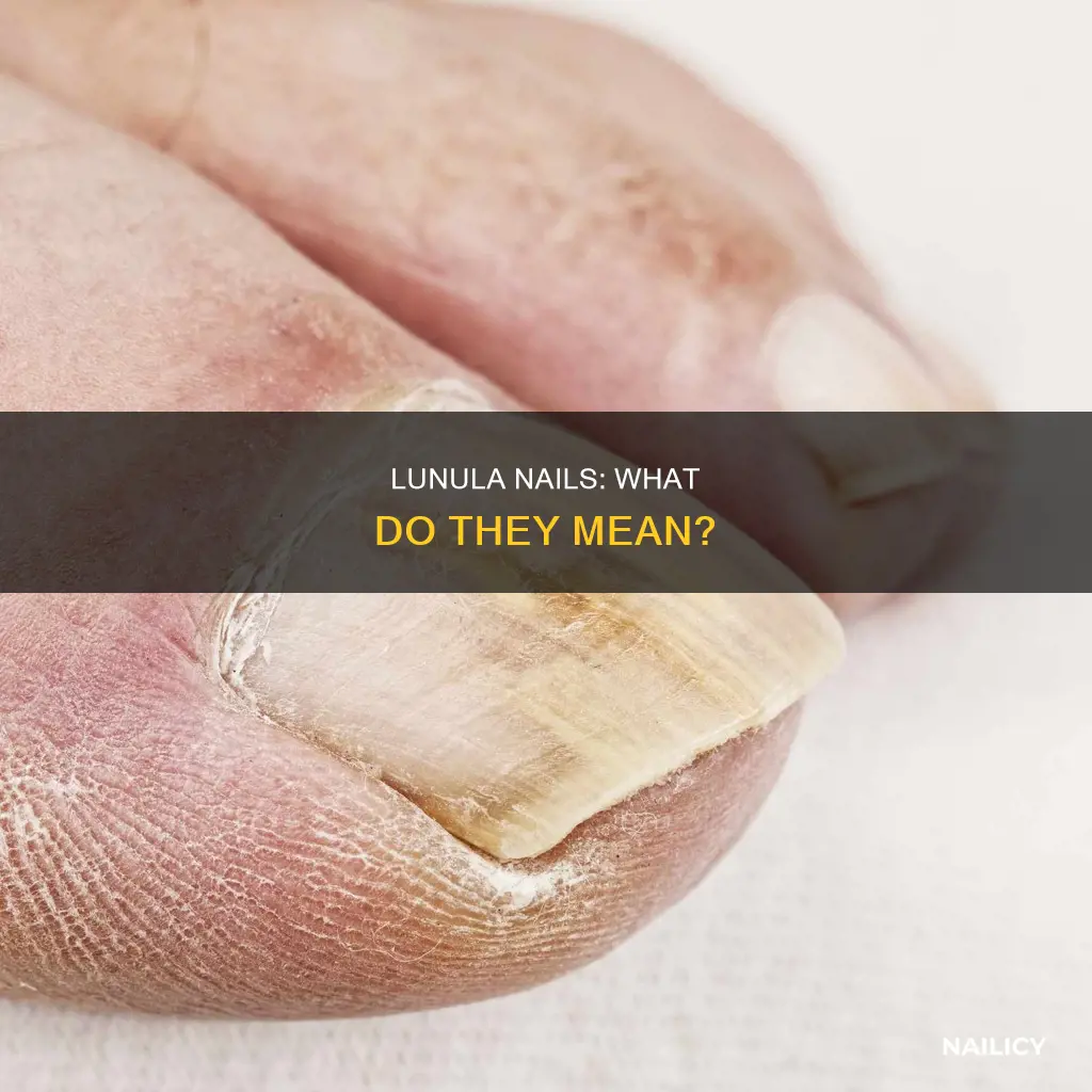 what does a lunlia nails mean