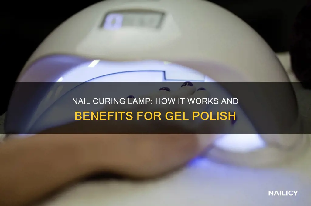 what does a nail curing lamp do