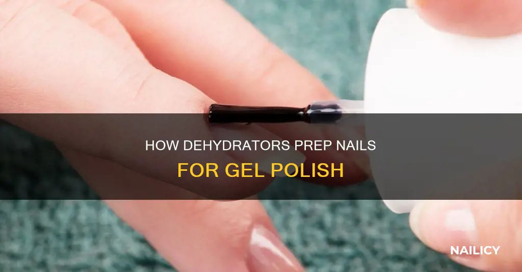 what does a nail dehydrator for gel nails