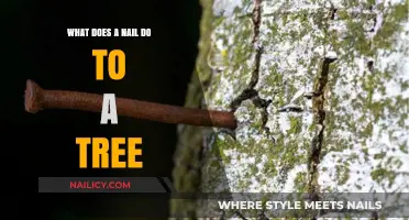 How Nails Impact Trees: Surprising Effects and Long-Term Consequences
