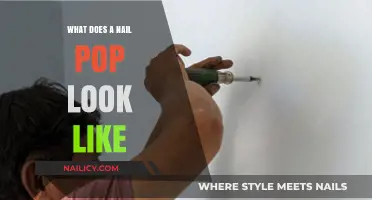 Understanding Nail Pops: Visual Guide to Identifying Drywall Imperfections