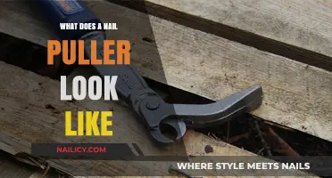 What Does a Nail Puller Look Like? A Visual Guide