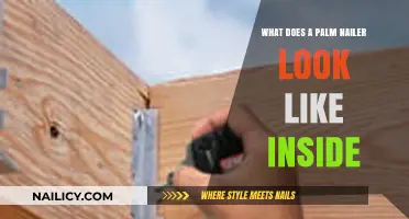 Inside a Palm Nailer: Anatomy and Mechanism Revealed