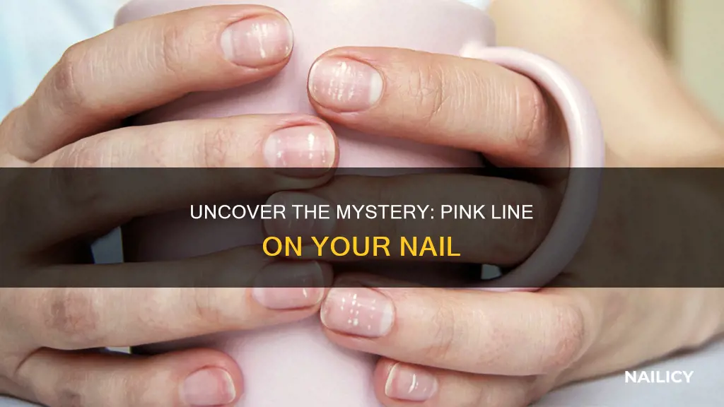 what does a pink line in your nail mean