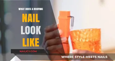 What Does a Roofing Nail Look Like? A Visual Guide