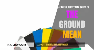 Survey Flags: Marking Ground with Meaning