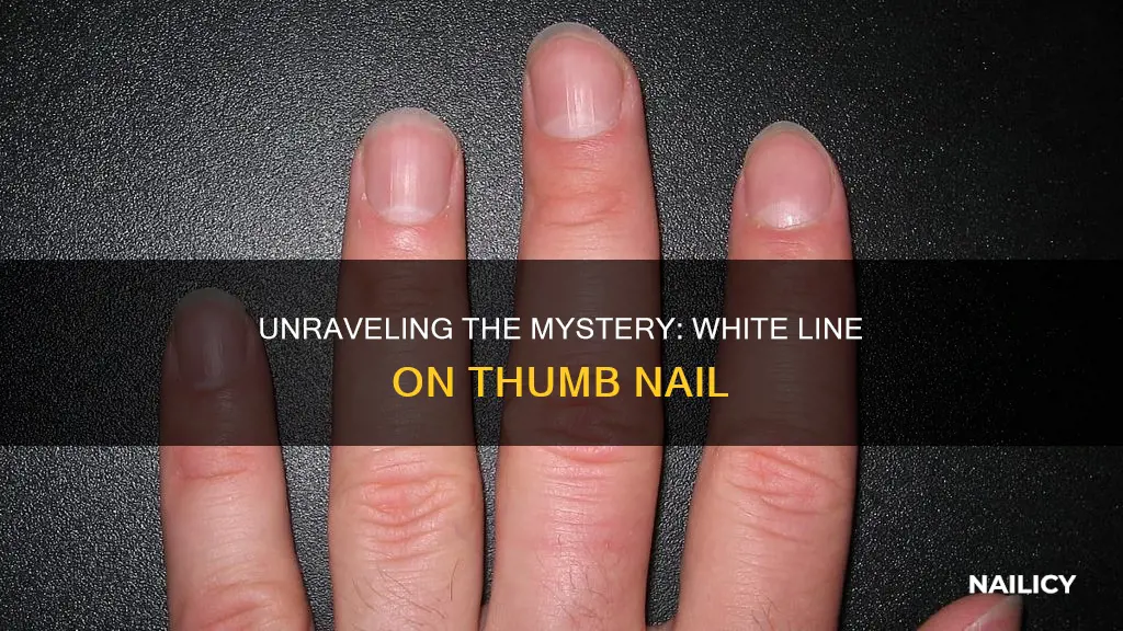 what does a white line down your thumb nail mean