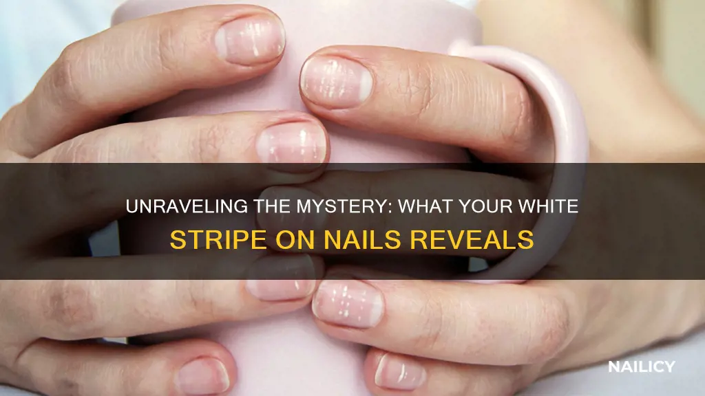 what does a white stripe on your nail mean