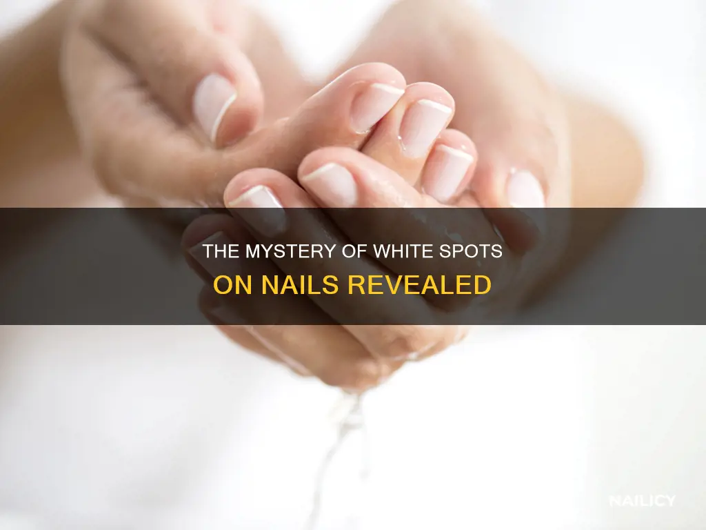 what does a whitecspot on your nails mean