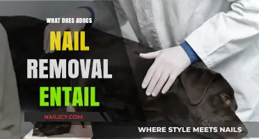 Dog Nail Removal: What It Entails
